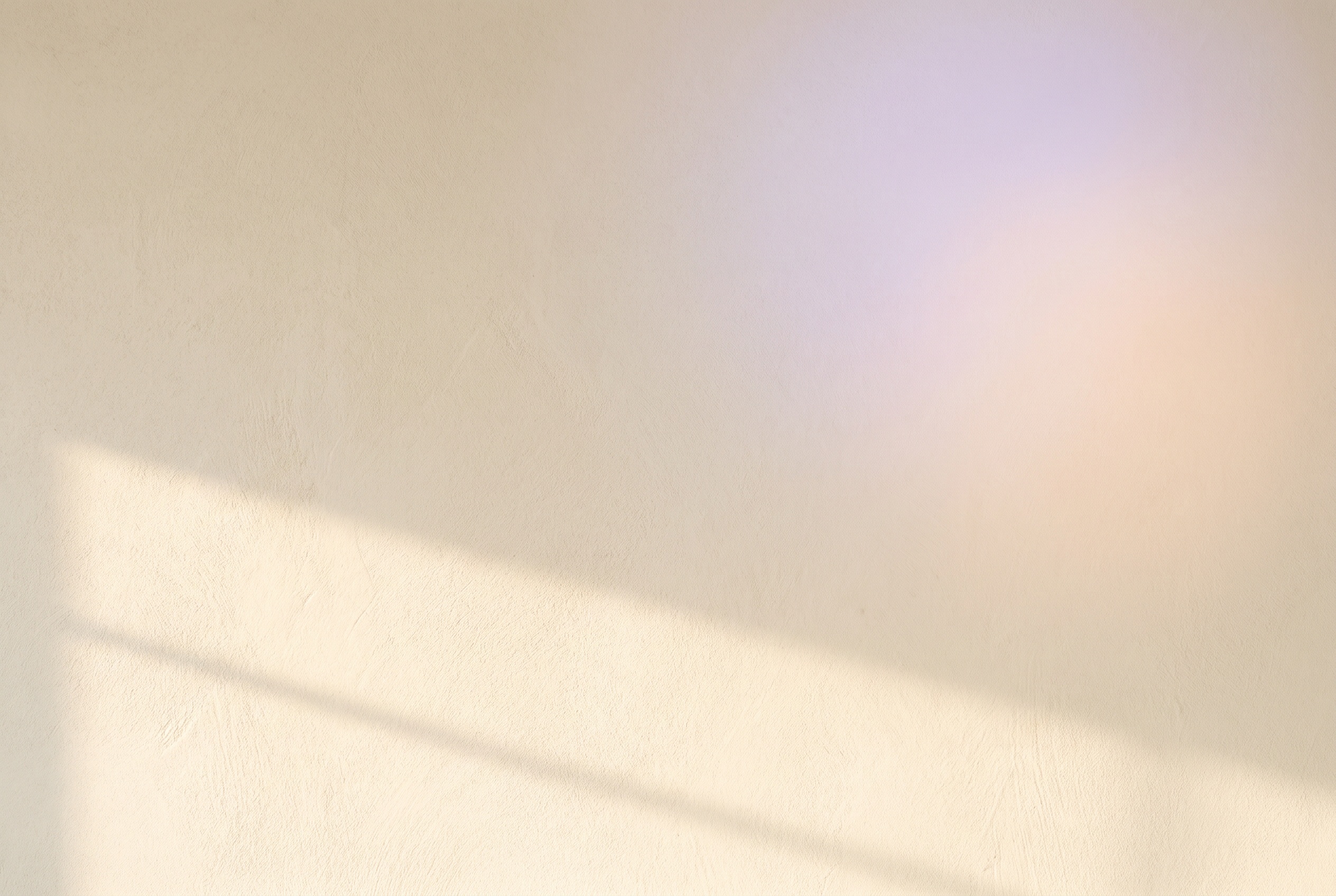 Warm natural light on a cream surface